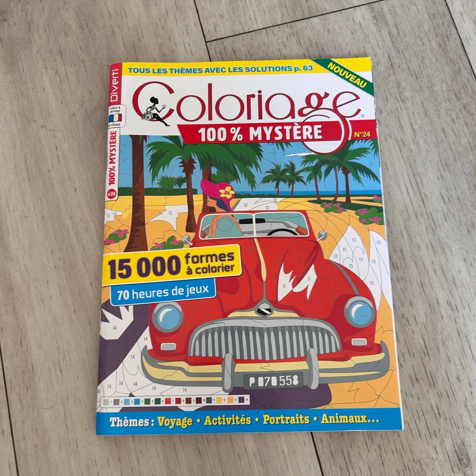 Diverti Coloriage 100% Mystère N°24 – Franse Kleuren op Nummer